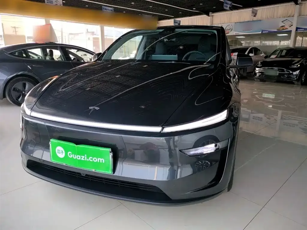 Tesla Model Y — фото 10