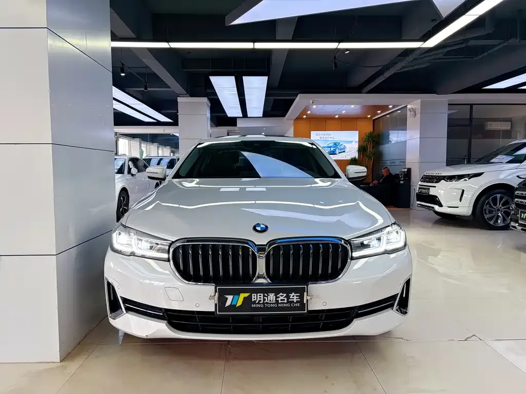 BMW 5 Series 2022 из CN, фото 1