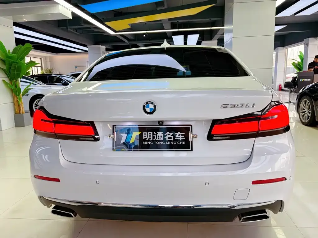 BMW 5 Series 2022 из CN, фото 7