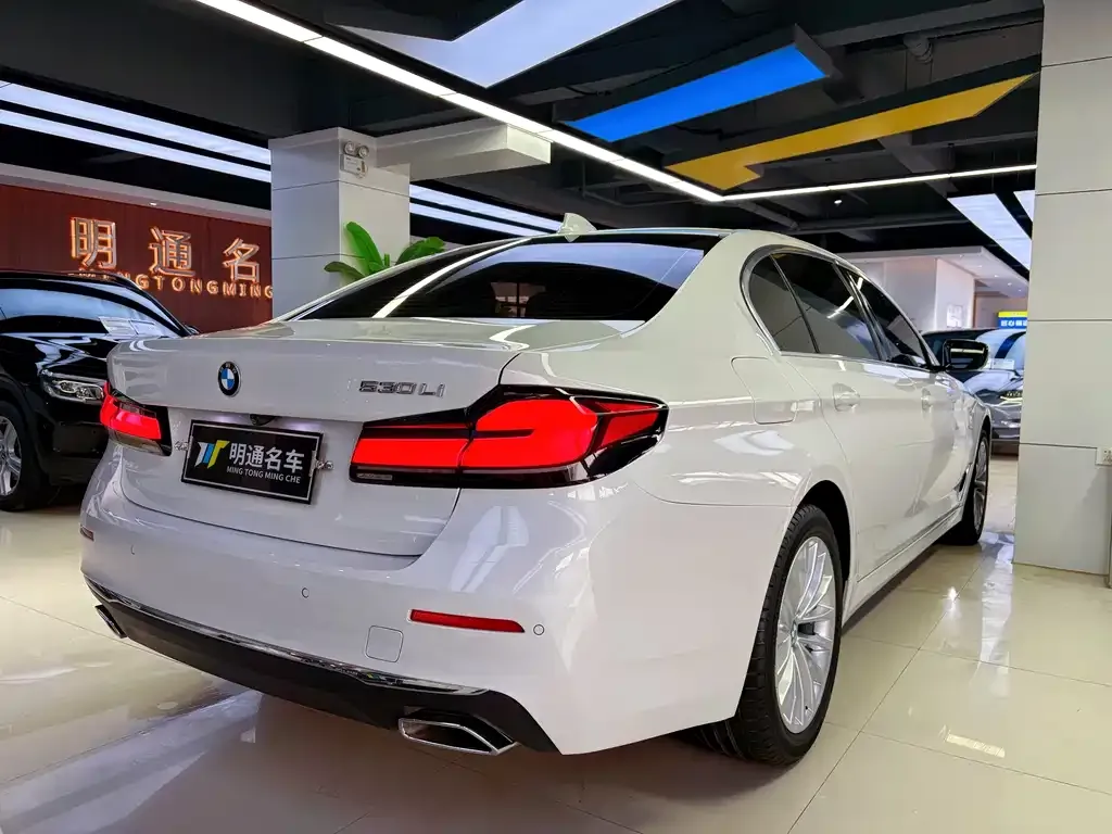 BMW 5 Series 2022 из CN, фото 9