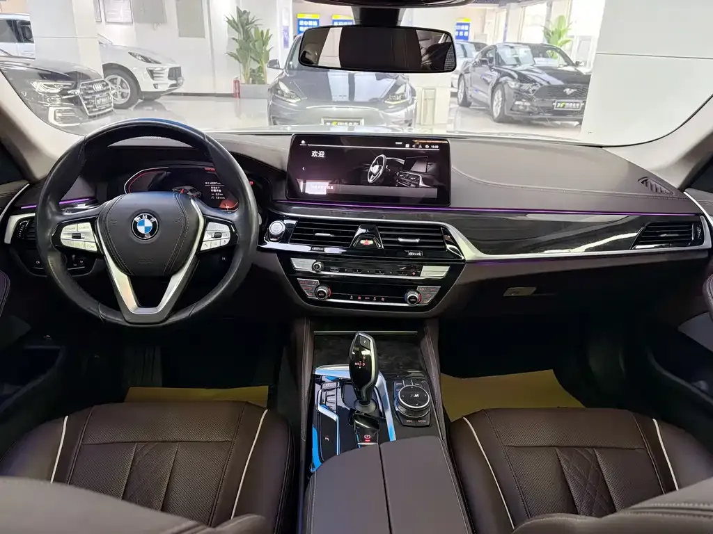 BMW 5 Series 2022 из CN, фото 6