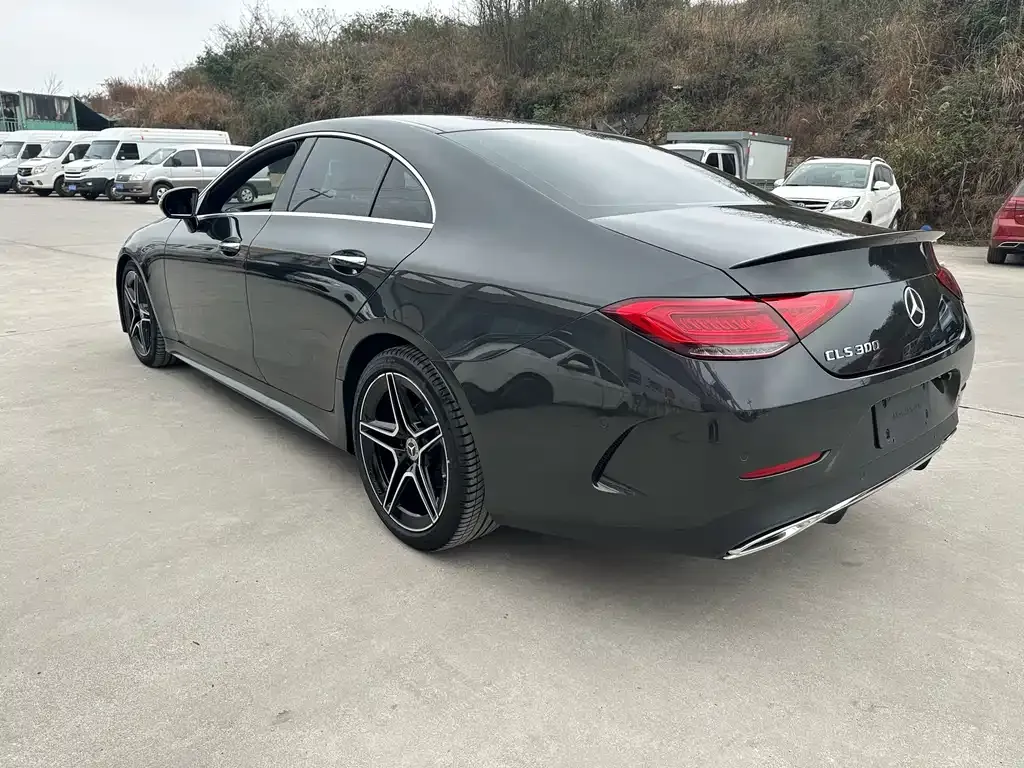 Mercedes-Benz CLS 2022 из CN, фото 5