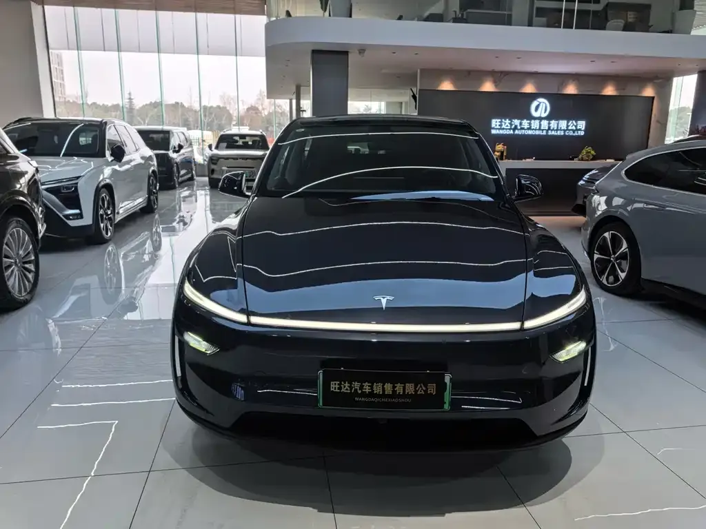 Tesla Model Y — фото 2