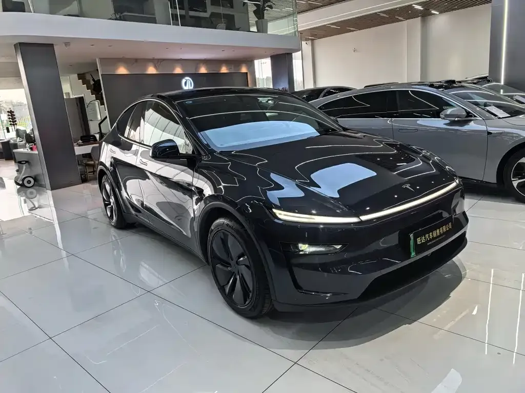 Tesla Model Y — фото 3