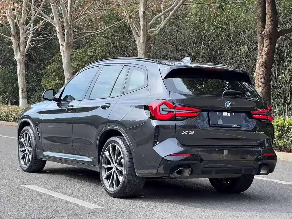 BMW X3 2023 из CN, фото 6