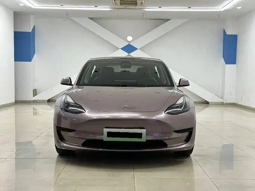 Tesla Model 3 2021 из CN, фото 6