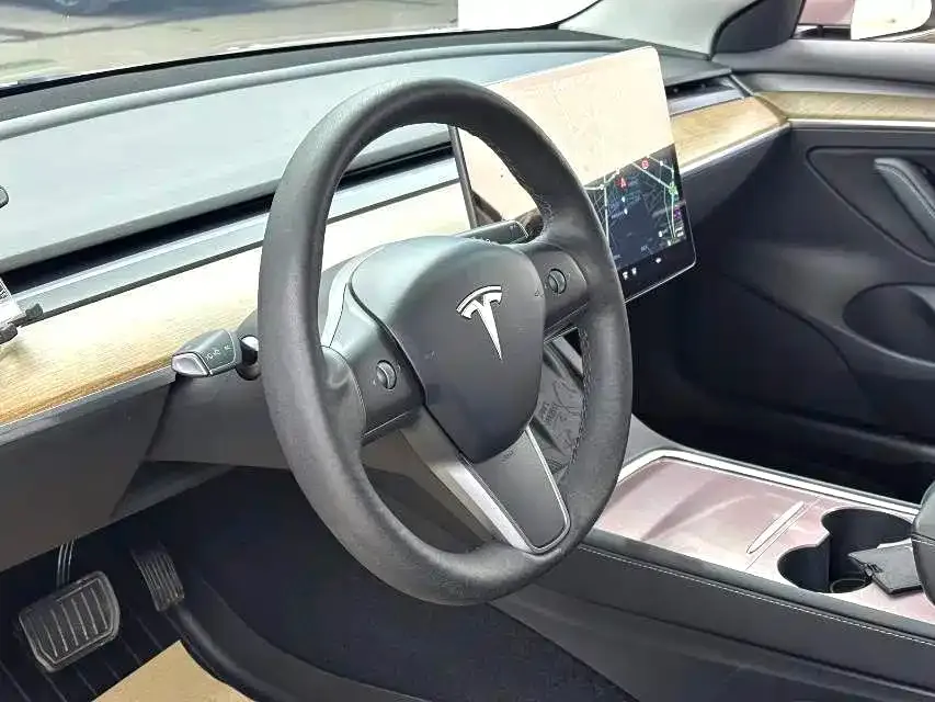 Tesla Model 3 2021 из CN, фото 5