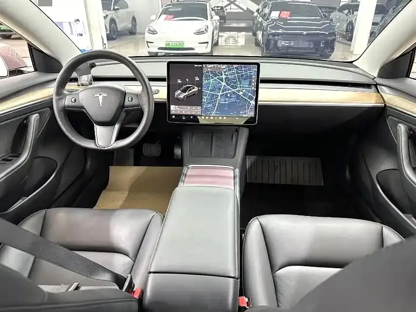 Tesla Model 3 2021 из CN, фото 9
