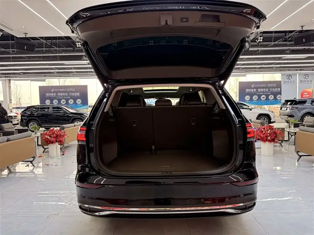 Volkswagen Viloran 2024 из CN, фото 9
