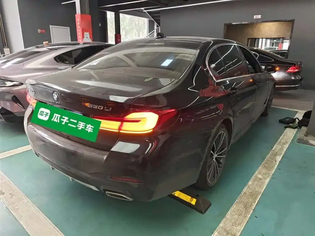 BMW 5 Series 2023 из CN, фото 5