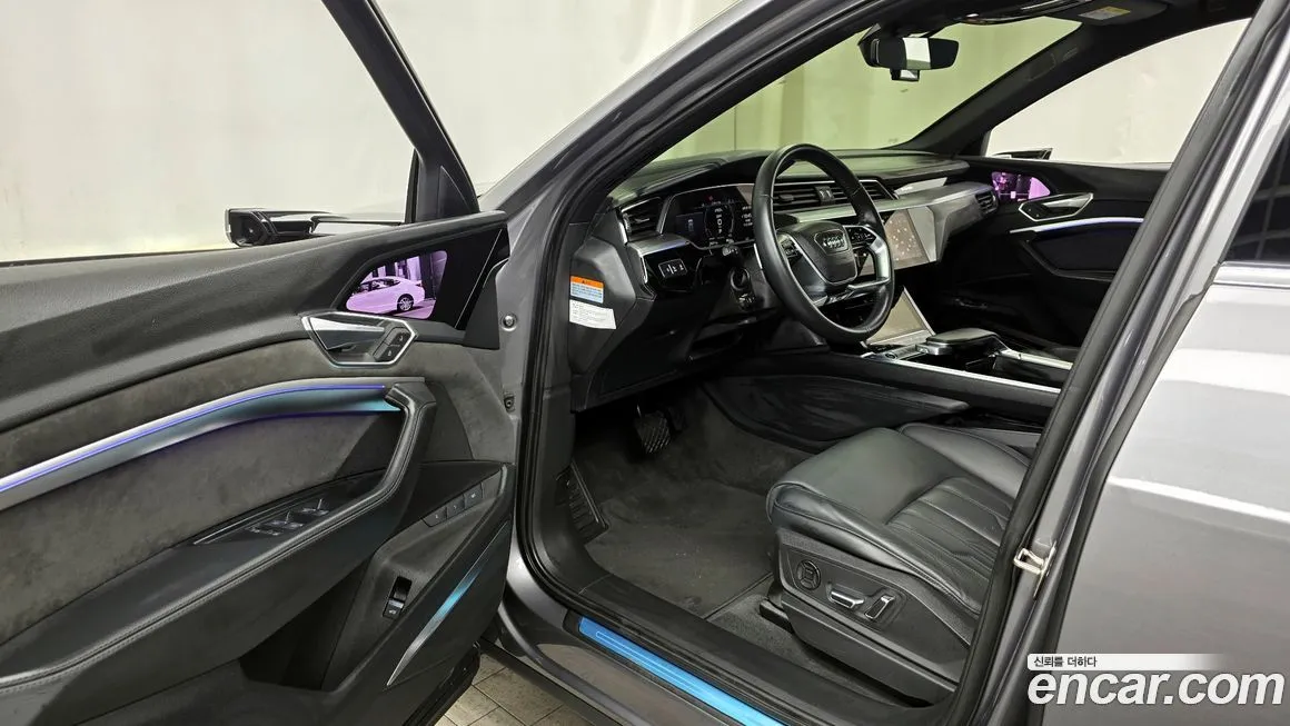 Audi e-tron 2021 из KR, фото 9