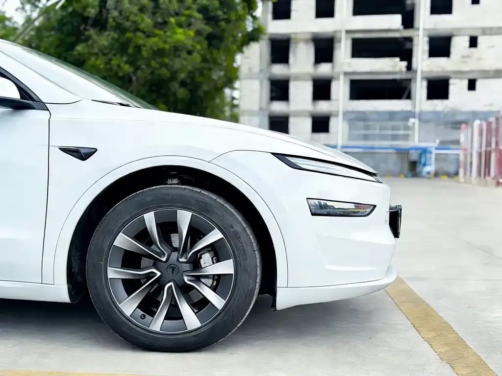Tesla Model Y 2025 из CN, фото 5