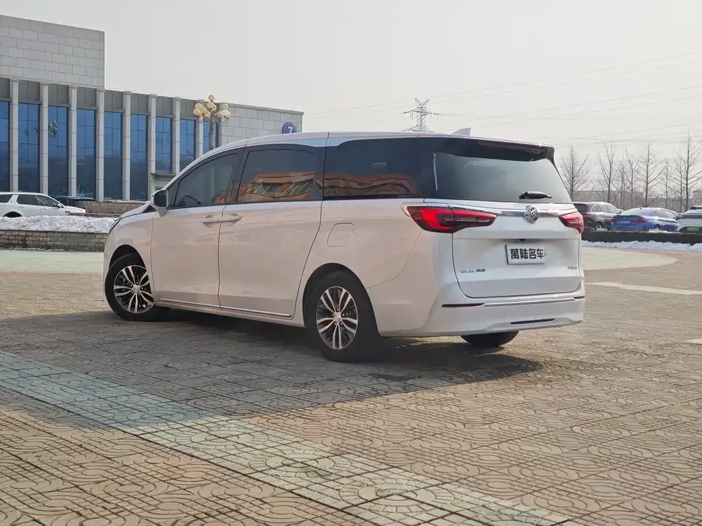 Buick GL8 2023 из CN, фото 8