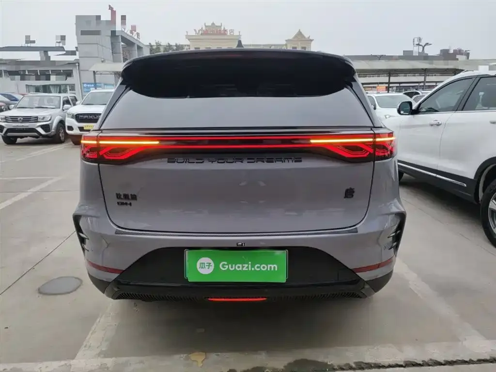 BYD Tang New Energy 2025 из CN, фото 2