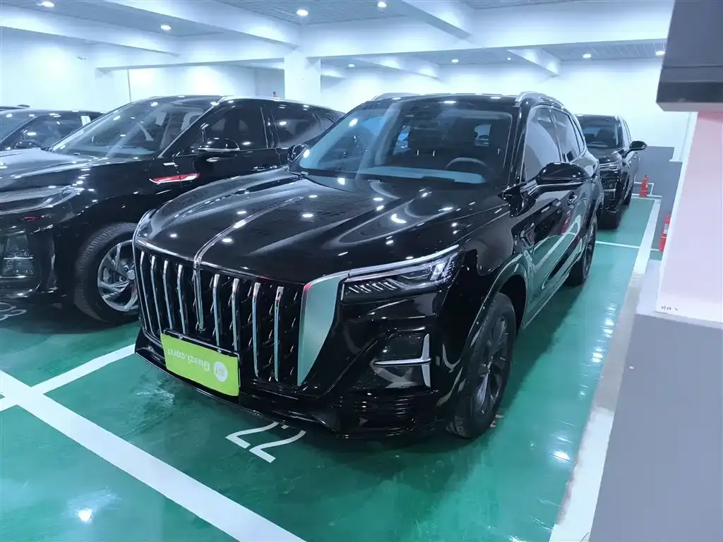 Hongqi HS5 2023 из CN, фото 9