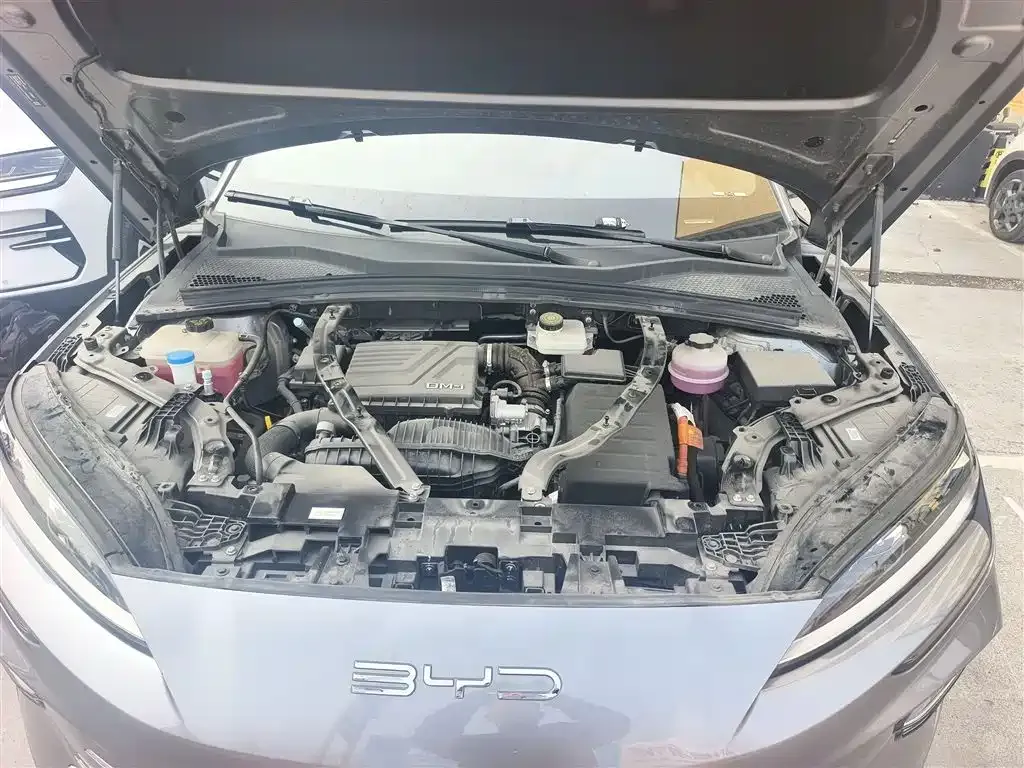 BYD PLUS New Energy 2023 из CN, фото 10
