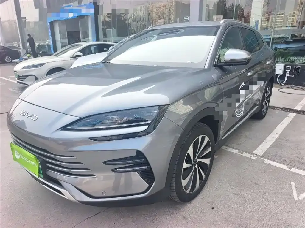BYD PLUS New Energy 2023 из CN, фото 5