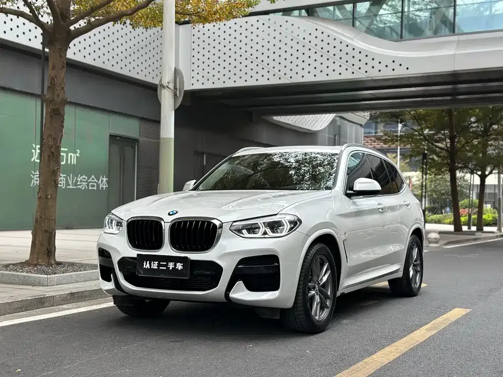BMW X3 2021 из CN, фото 1