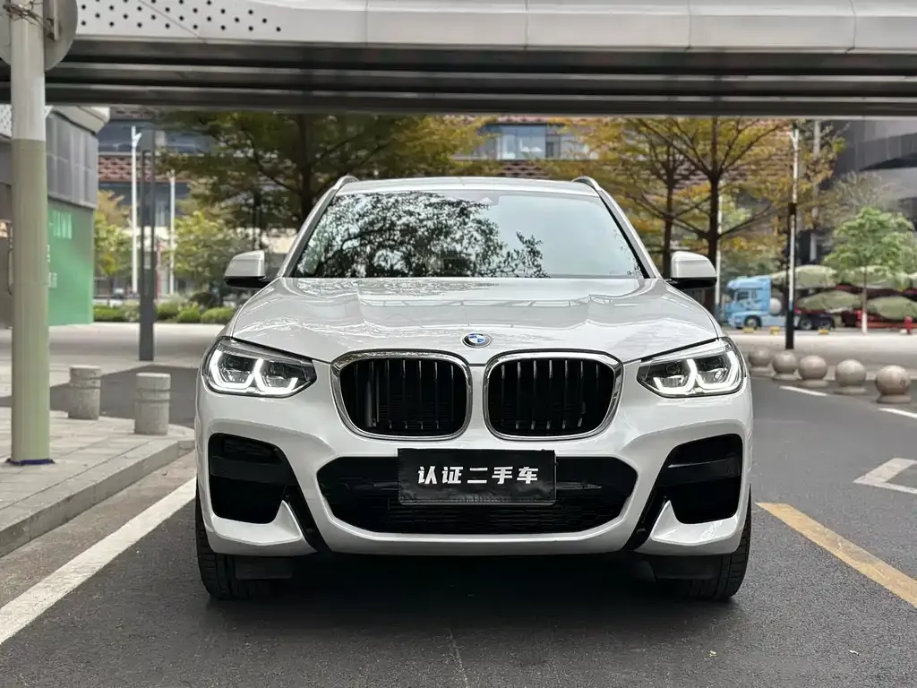 BMW X3 2021 из CN, фото 3