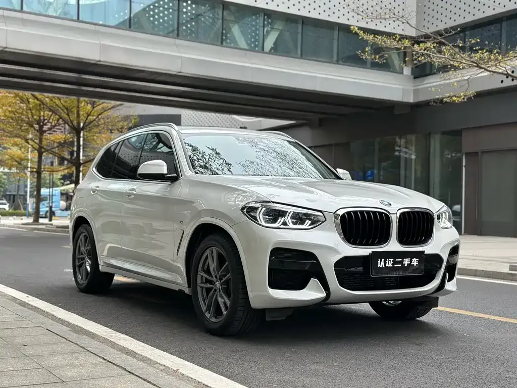 BMW X3 2021 из CN, фото 10