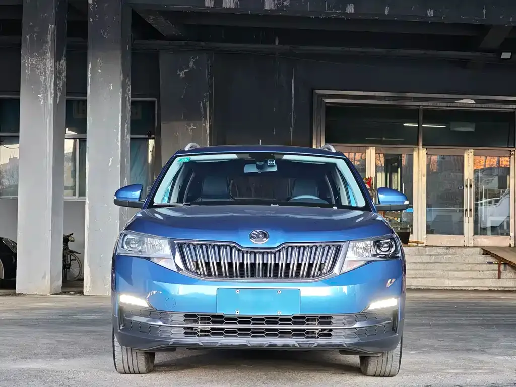 Skoda Kamiq 2022 из CN, фото 5