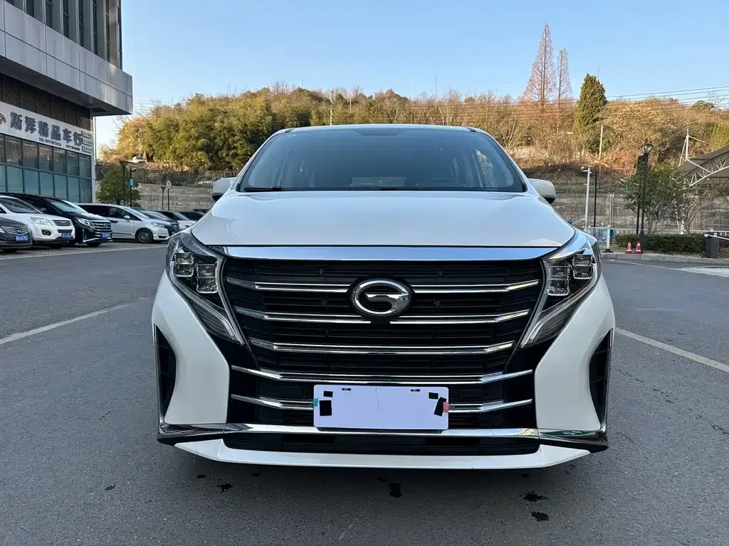 GAC Motor Trumpchi M8 2024 из CN, фото 4