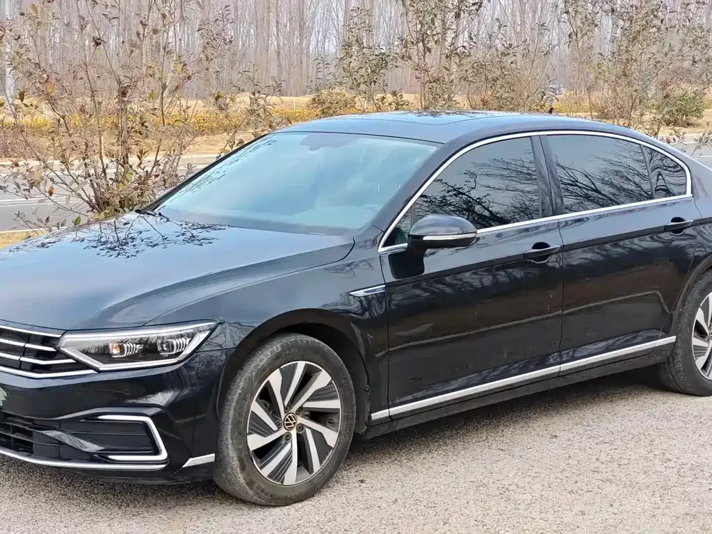 Volkswagen Magotan GTE PHEV 2024 из CN, фото 1