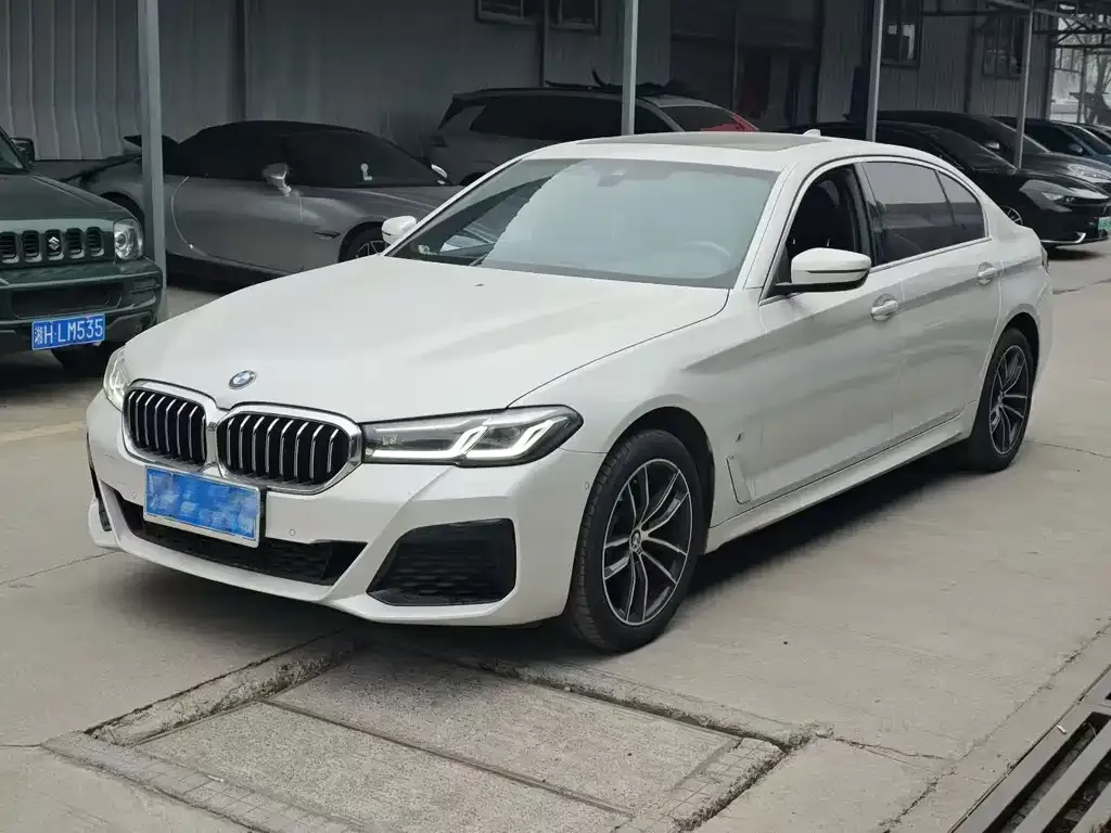BMW 5 Series 2022 из CN, фото 1