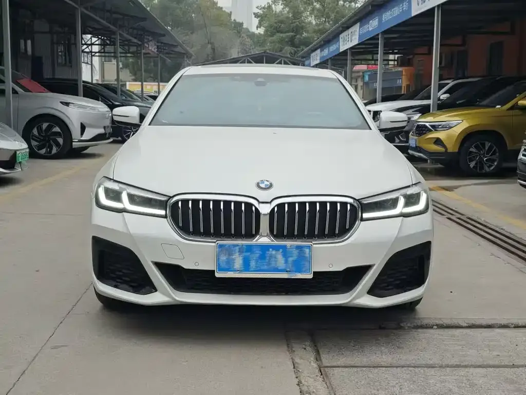BMW 5 Series 2022 из CN, фото 8