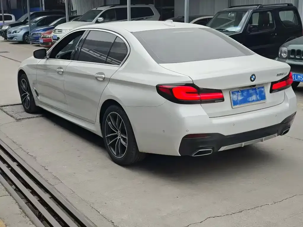 BMW 5 Series 2022 из CN, фото 5