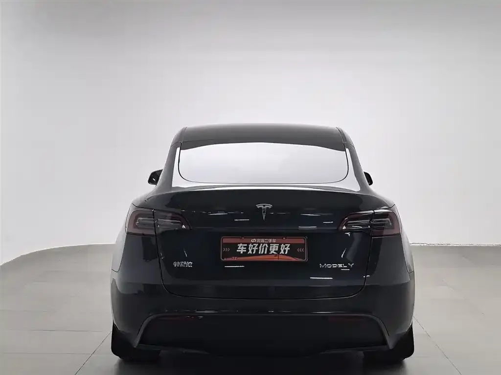 Tesla Model Y 2024 из CN, фото 6