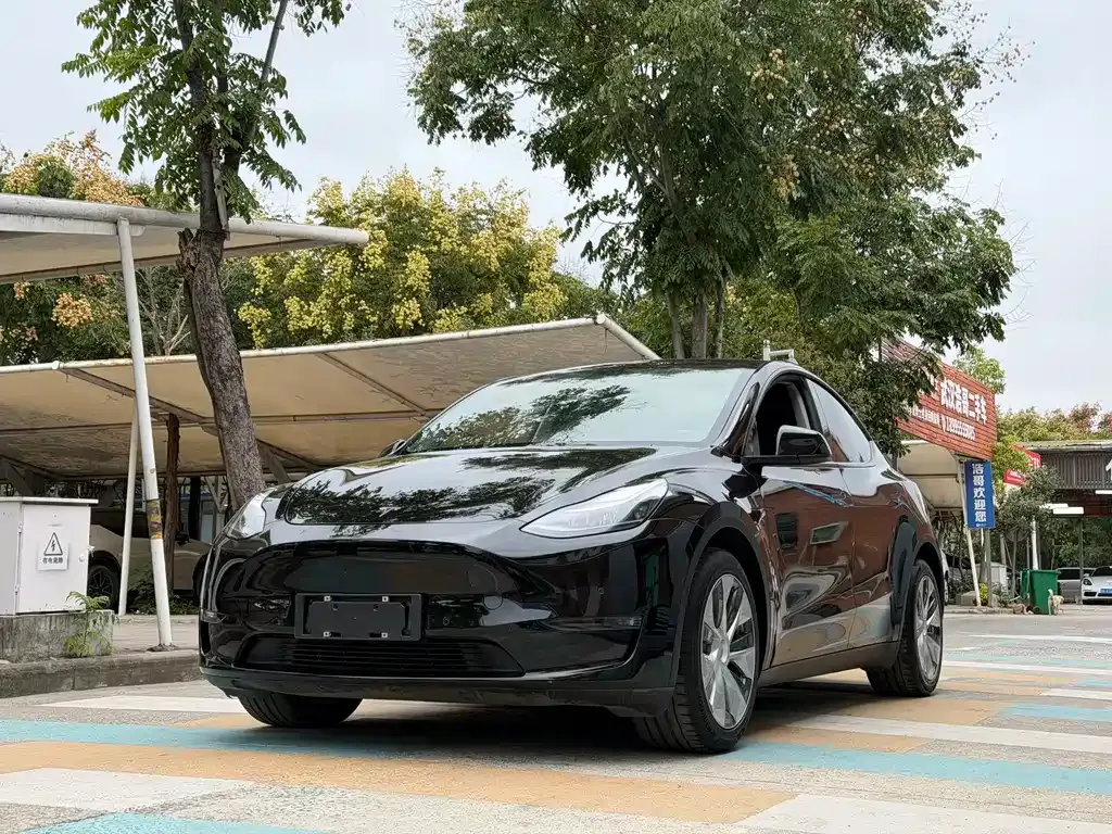 Tesla Model Y 2021 из CN, фото 1