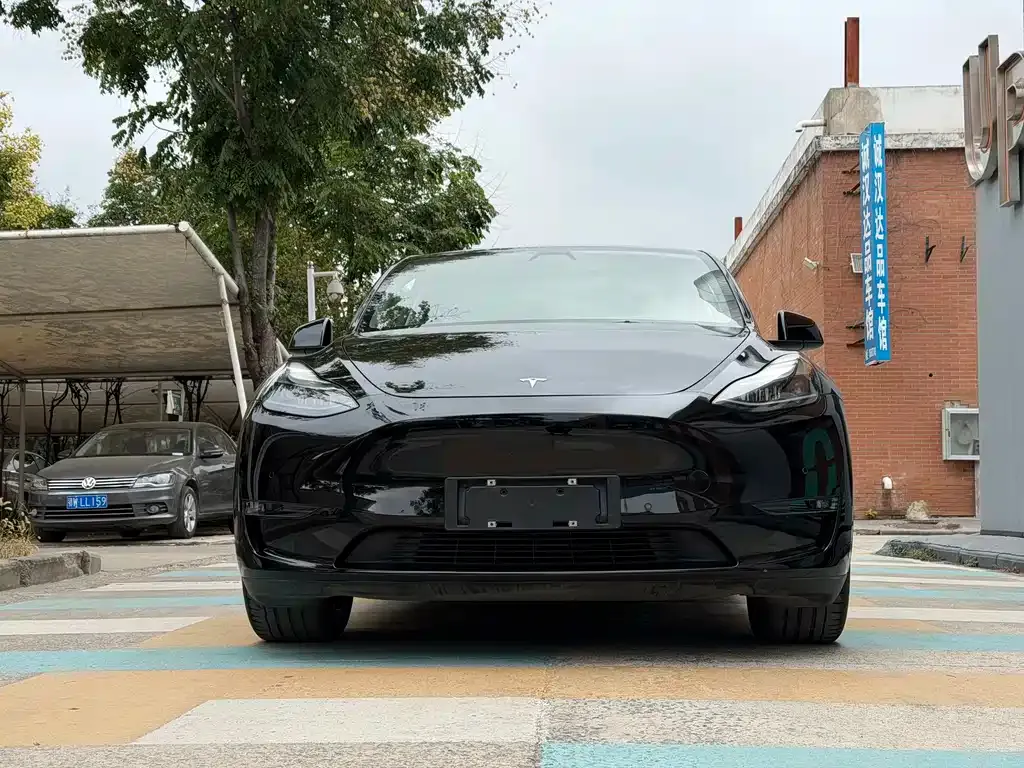 Tesla Model Y 2021 из CN, фото 7