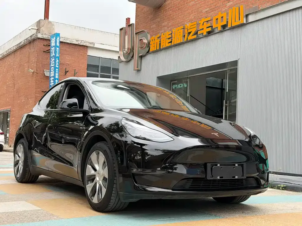 Tesla Model Y 2021 из CN, фото 5
