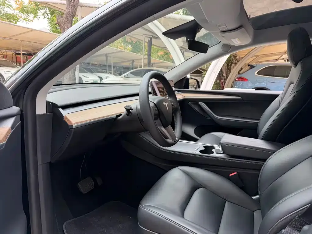 Tesla Model Y 2021 из CN, фото 3
