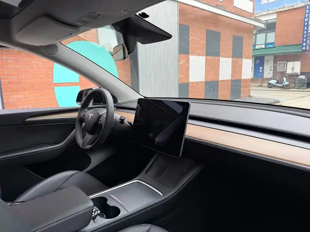 Tesla Model Y 2021 из CN, фото 4