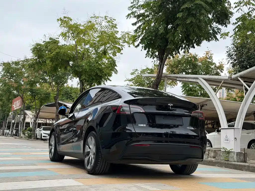 Tesla Model Y 2021 из CN, фото 8