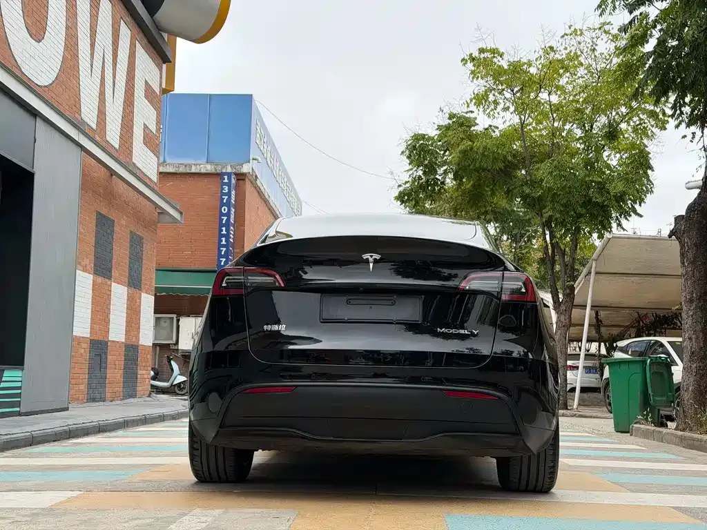 Tesla Model Y 2021 из CN, фото 6