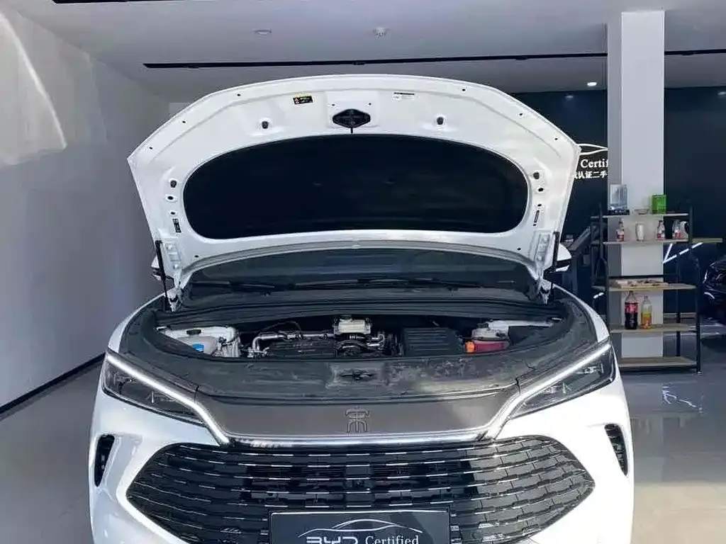 BYD L DM-i — фото 6
