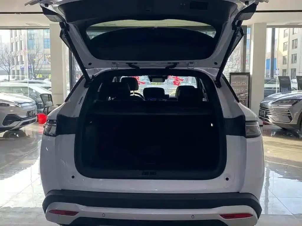 BYD L DM-i — фото 10