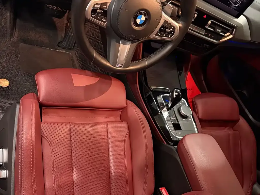 BMW X4 2022 из CN, фото 7