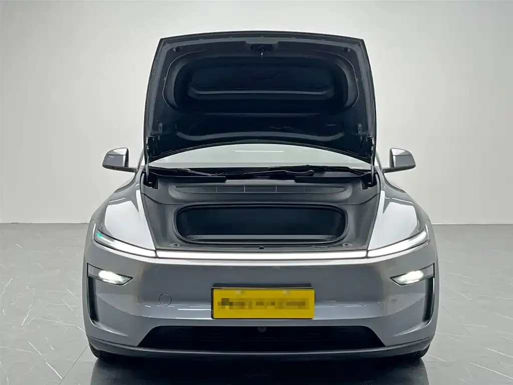 Tesla Model Y 2025 из CN, фото 6