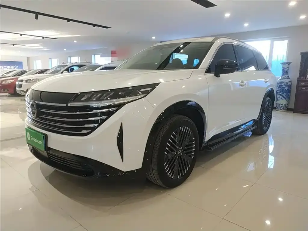 Nissan Teramont 2024 из CN, фото 1