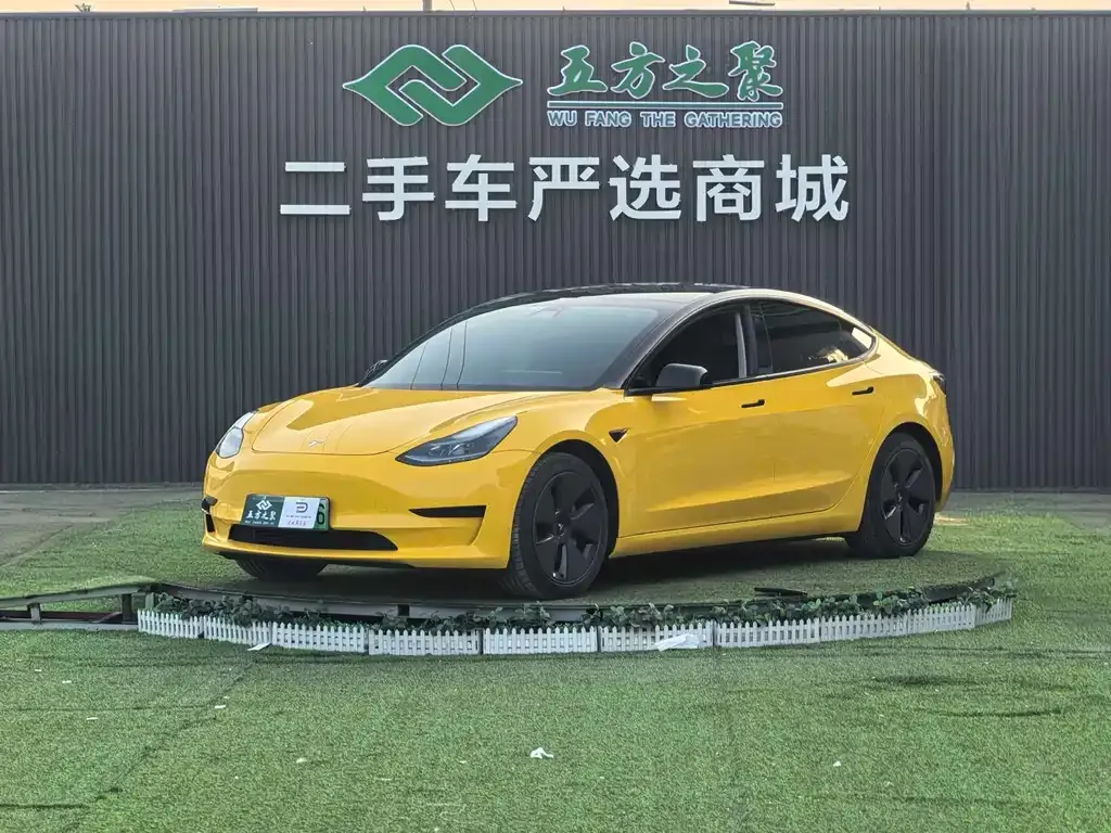 Tesla Model 3 2021 из CN, фото 1