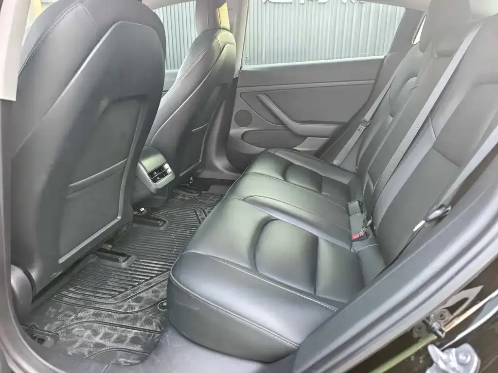 Tesla Model 3 2021 из CN, фото 6