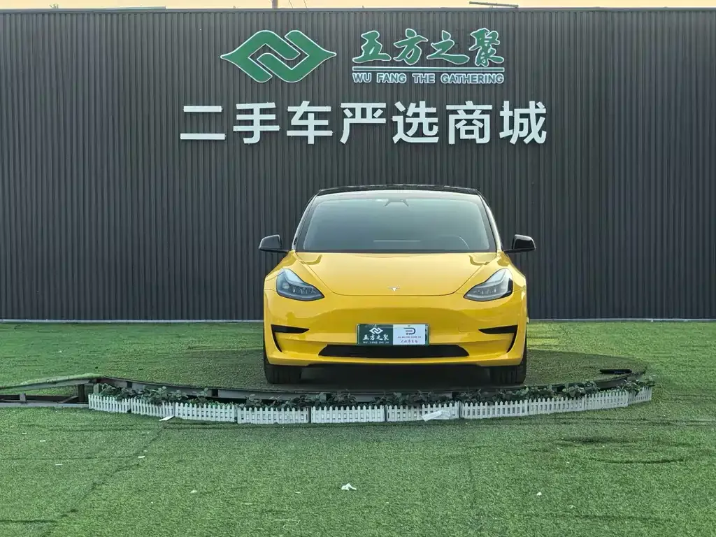 Tesla Model 3 2021 из CN, фото 8