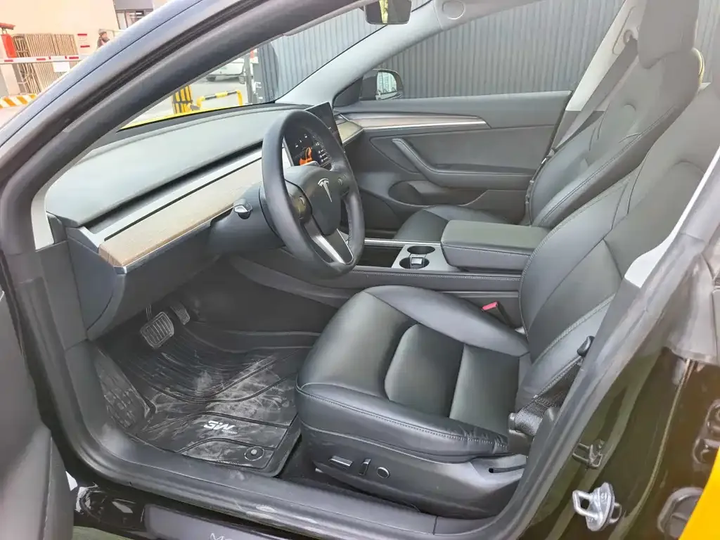 Tesla Model 3 2021 из CN, фото 5
