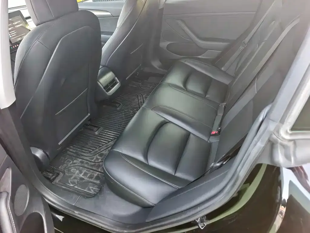 Tesla Model 3 2021 из CN, фото 2