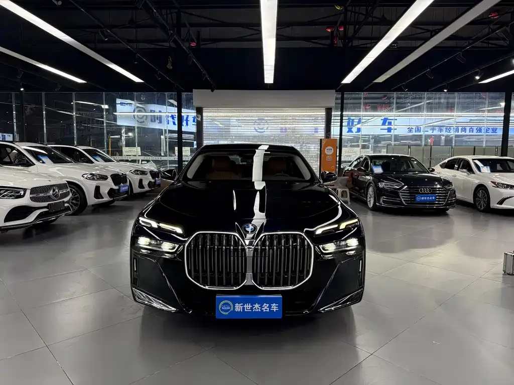 BMW 7 Series 2023 из CN, фото 5
