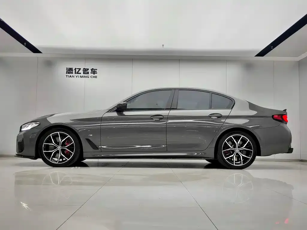 BMW 5 Series (Import) 2022 из CN, фото 9